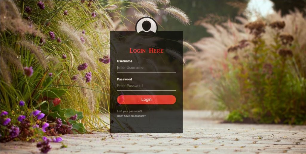 create a logon page using html and css