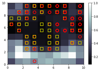 Training in Self-Organizing Maps