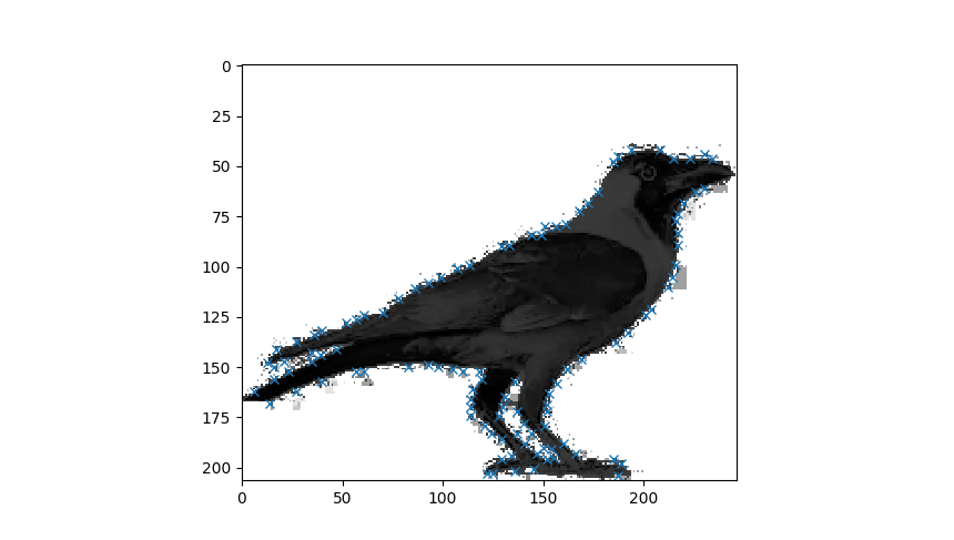 Extracting points of Interest from an Image and Preprocessing