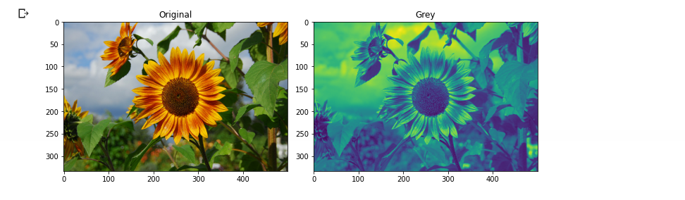 Image Greyscaling