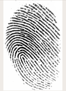 Learn Fingerprint Detection in Python - CodeSpeedy