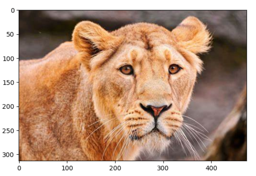 Read an image with scipy.misc