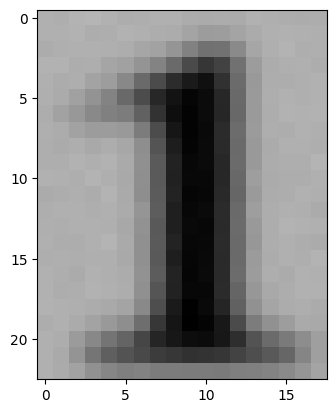 1b_image